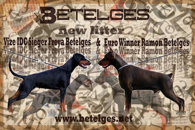 Litter J: Ramon Betelges - Freya Betelges