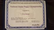 NIKITA BETELGES IN UNITED STATES BECOME NATIONAL  JUNIOR PUPPY CHAMPIONSHIP WINNER